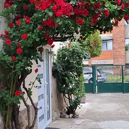 Happy Star Daire Ni