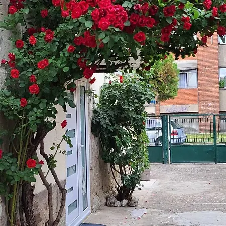 Happy Star Apartment Nis