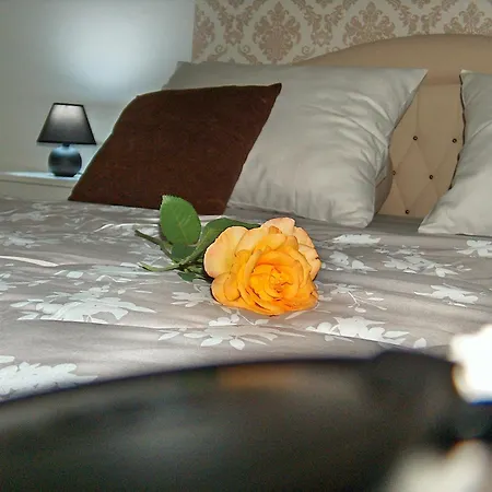 Apartment Happy Star *