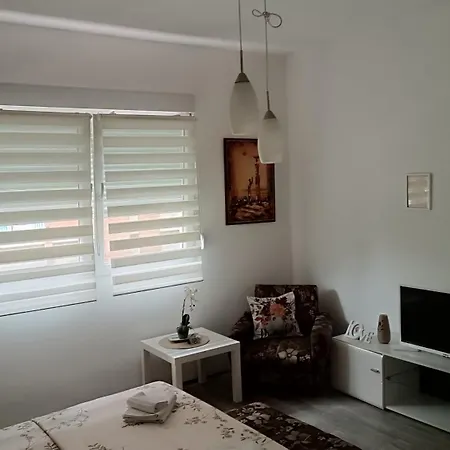 Apartment Happy Star Nis