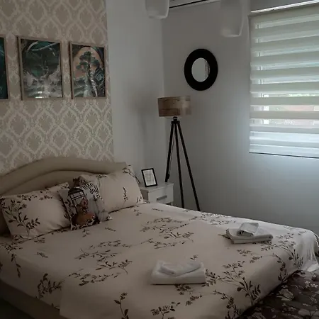 Happy Star Daire Ni